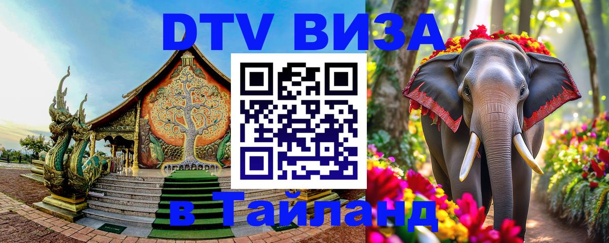 DTV Visa Тайланд купить 